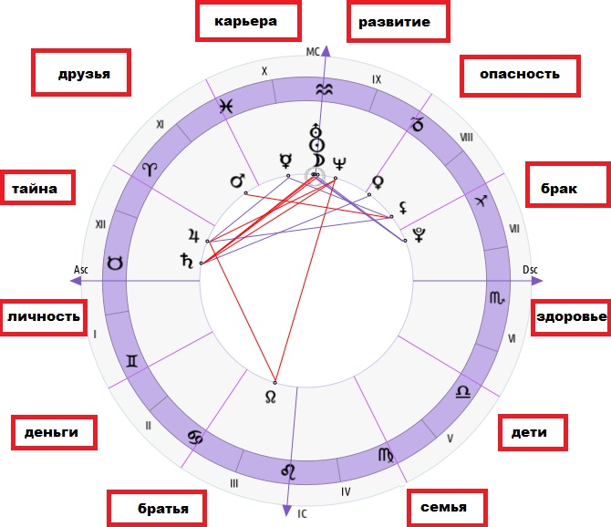астрология натальная карта обучение